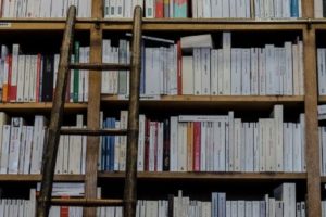 book-shelf-and-ladder